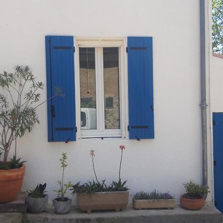 Maison Occitane Saint-Nazaire-d'Aude Ngoại thất bức ảnh